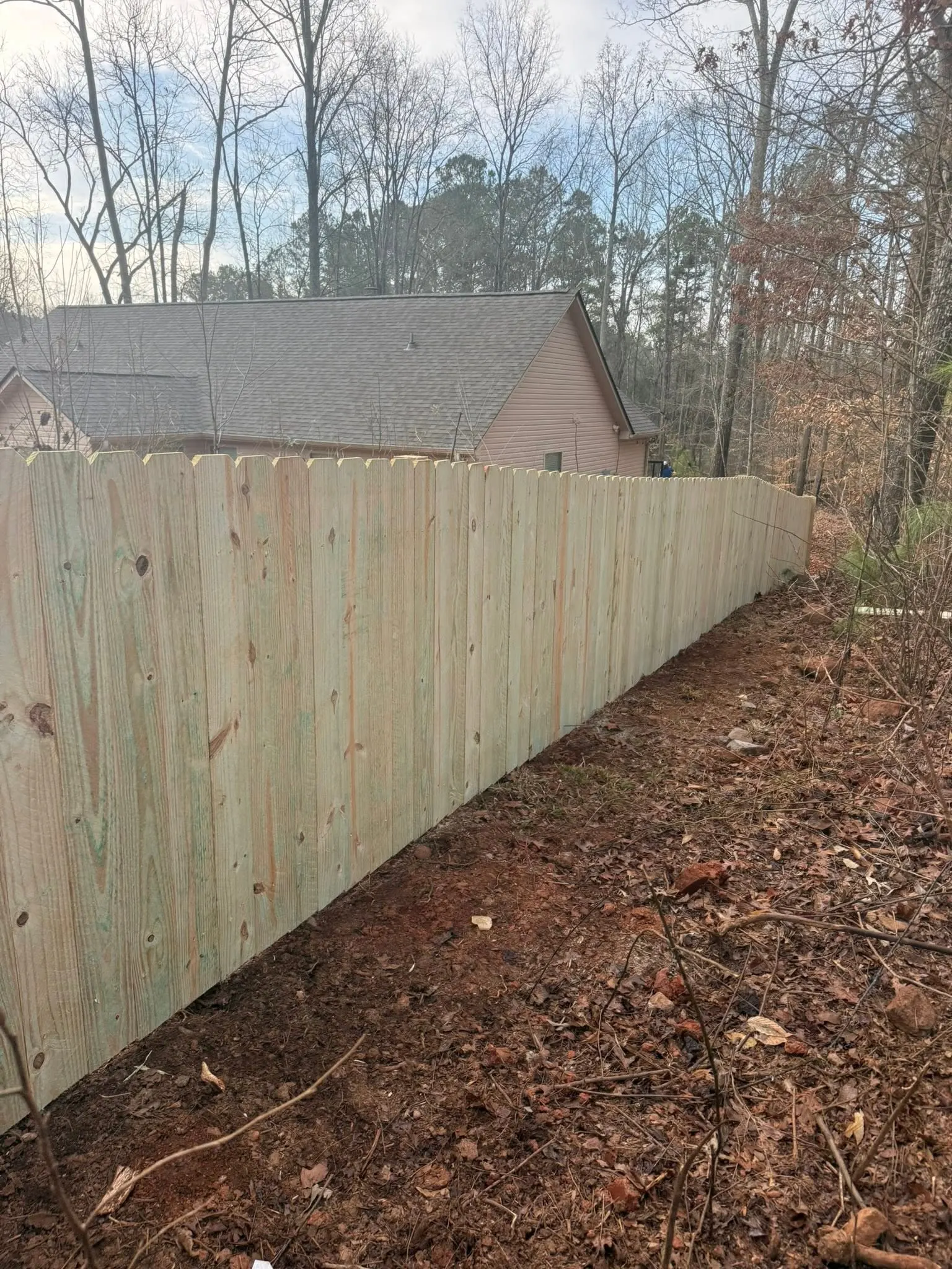 New pine stockade privacy fence line with a house and tall pines behind it