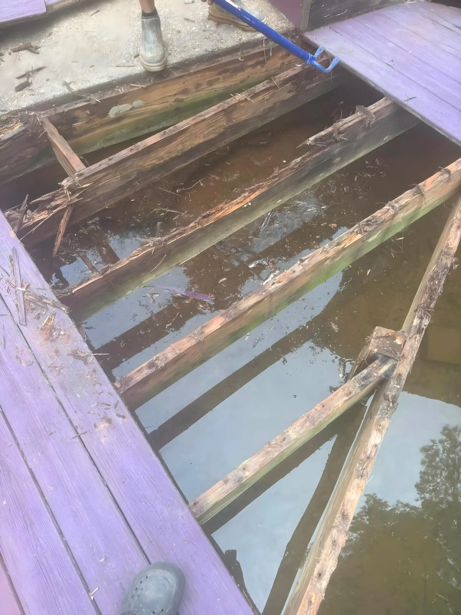 Before photo: rotten joists and standing water under an old deck in need of rebuild