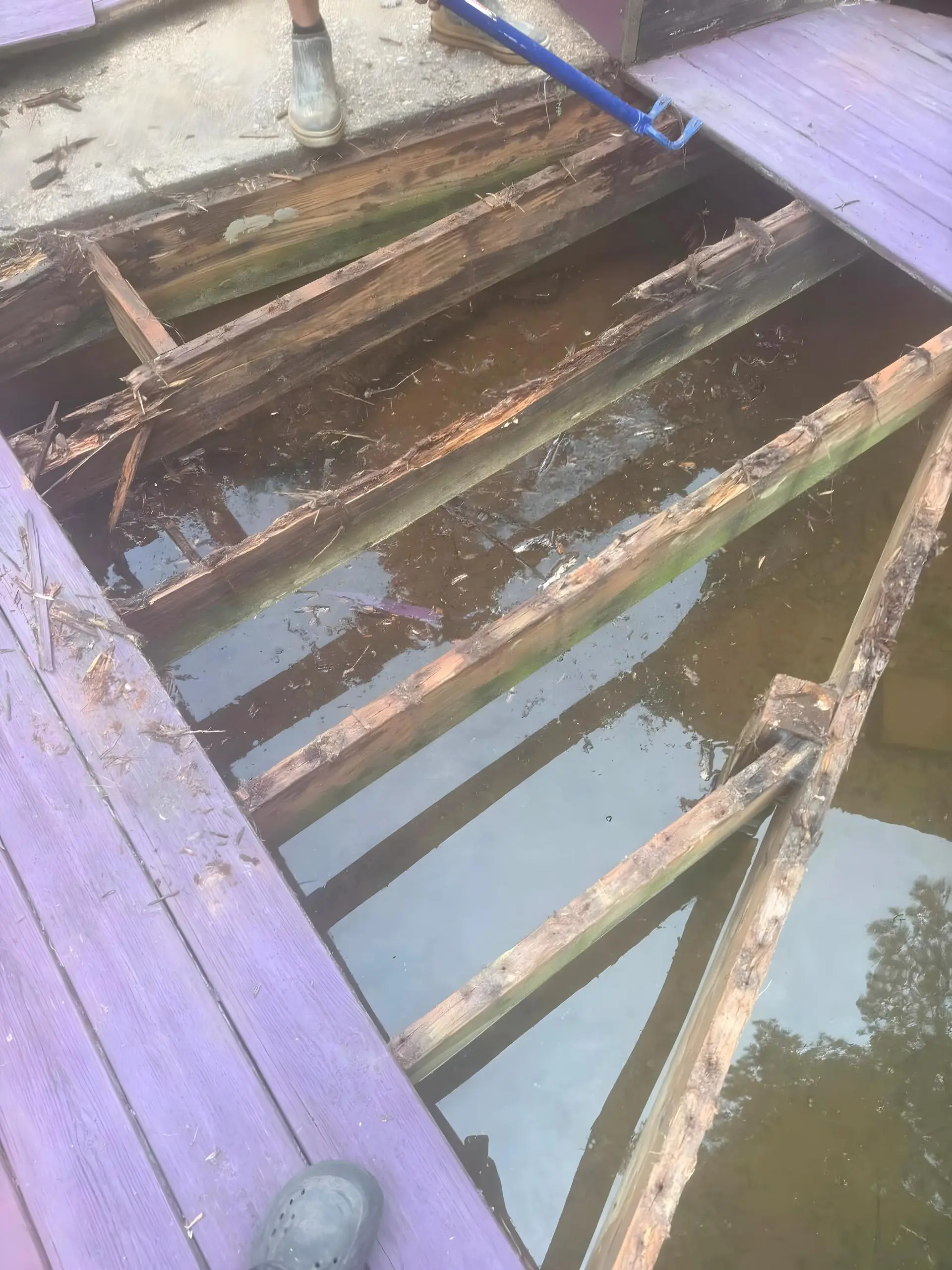 Rotted deck joists with standing water below the boards, before repair